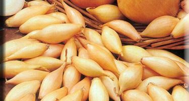 Ќе се најде пласман за арпаџикот од Бразда