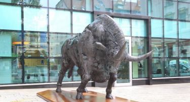 Даночни проблеми го натераа Штембергер да ја продаде Илирика на КД Фондови