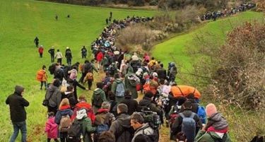 Грција им помага со упатства на илегалните мигранти да влезат во Македонија