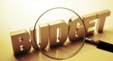 Како се трошел буџетот во 2015-та
