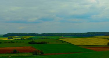 Околу 40 проценти од корисниците на субвенции поднеле барања