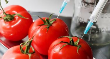 ЕК отстапи во барањата за ГМО