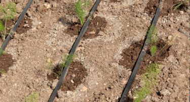 Државата ќе ги субвенционира системите капка по капка