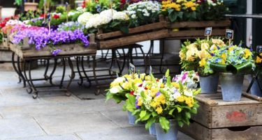 Колку труд е потребно за производство на цвеќе?