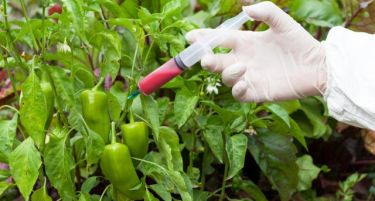 Четири работи за раѓањето на најголемиот агро-бизнис