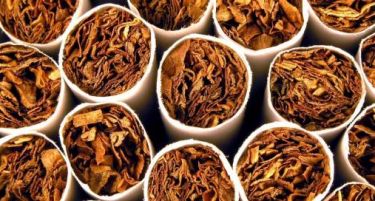 ИНТЕРВЈУ Арсов: Перспективите на Македонија во производството на тутун