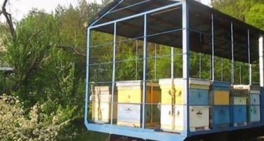 Пчеларите да ги поместат кошниците на медоносни места