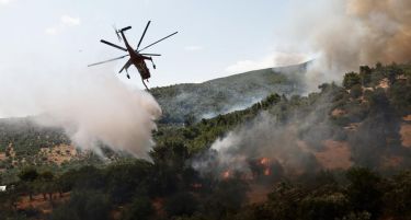 ФОТО: Шумски пожар беснее во Дервенохориа