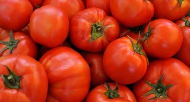 Неделни откупни цени на зеленчукот за крај на манипулациите при откуп