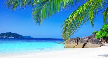 Сакате на Хаваите? Бараат работници, плата 60.000 долари