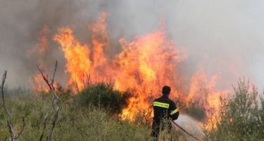 ФОТО: Пожар беснее во Уранополис на Халкидики