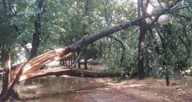 Невреме во Скопје, реки по улиците и скршени дрвја