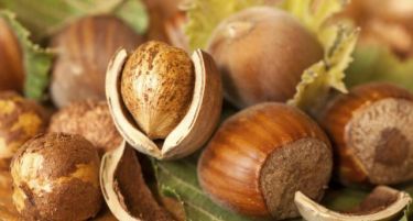 Лешници наводнува на далечина од 150 км, како?