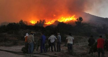 ФОТО: Пожар беснее на Хиос, има и неколку повредени