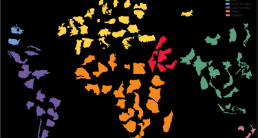 Како ќе се развиваат економиите во светот до 2024 година?