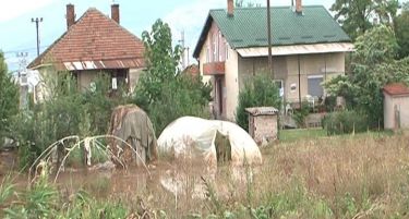 Поплавите ги уништија земјоделските посеви, се чекаат резултатите од почвените анализи
