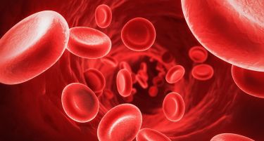 Научниците прават обиди за подмладување на луѓе со крв