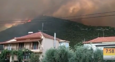 ФОТО+ВИДЕО: Пожарот на островот Тасос продолжува