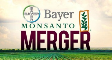 Спојот на Монсанто и Бајер ќе доминира на агро пазарот, експертите загрижени