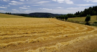 Може да се почне со плитко орање во поплавените места