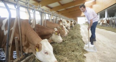 Ја напуштил фотелјата - сега бара работници