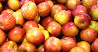 Николовски бара од Владата пласман за јаболкото