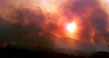 ФОТО+ВИДЕО: Пожари беснеат на грчкиот остров Тасос