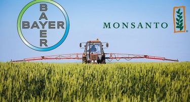 Спојување на Monsanto и Bayer – Силна ГМО закана