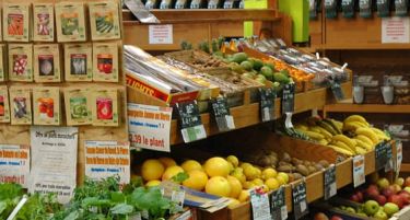 СТАТИСТИКА: Ова се трошоците за живот кои се намалиле во август…