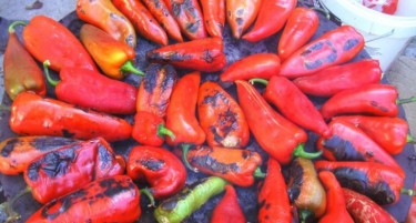 Привршува бербата на ајварката: дел од бербата во странство, дел дома, кој не го испочитува договорот?