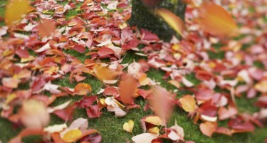 ДЕНЕС СТУДЕНО СО ВЕТЕР: Од викендов пресврт во временската прогноза