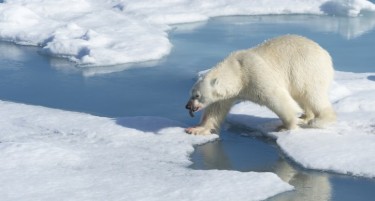 (ВИДЕО) Чудни појави на Арктикот ги преплашија научниците