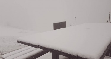 Снегот тропа на врата: Кога да го очекуваме?