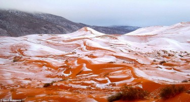ФОТО+ВИДЕО: НЕОБИЧНО: По скоро четири децении падна снег во Сахара