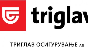 Надградена стратегија на групацијата Триглав до 2020-та година и деловен план за 2017-та година