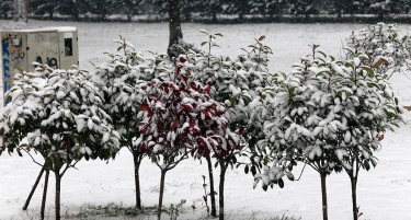 (ГАЛЕРИЈА) Македонија е под снежна покривка