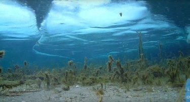 (ВИДЕО) Охриѓанец го сними замрзнато Охридското езеро  под вода