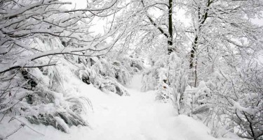 Скопје и Берово најстудени - колку степени под нула се измерени?