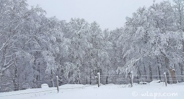 Каде има најдебела снежна покривка?