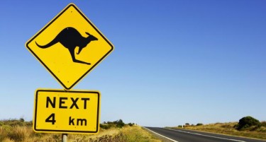 НЕМА ДА ВЕРУВАТЕ: Австралија го идентификуваше најсмртоносното животно
