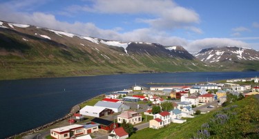 Исланд бара 4.000 работници од странство