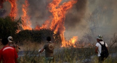(ВИДЕО) Страотни пожари во Чиле уништија домови и однесоа човечки животи