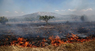 Голема борба за да се сопре огнената стихија на Скопска Црна Гора