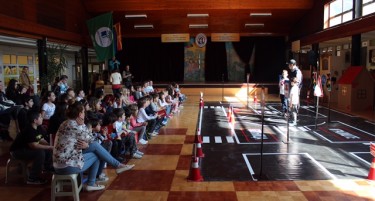 Сообраќајните незгоди со нагорен тренд