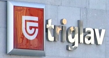 Групацијата работеше успешно,  предложен износ на дивиденда од 2,5 евра