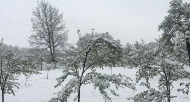 (ВИДЕО) Снег во БиХ за 1 мај