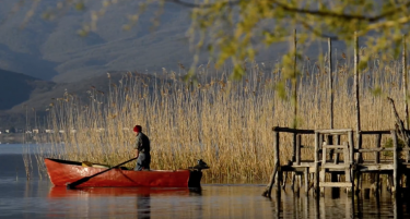 Престижна филмска награда за “Езеро од јаболка“ во Чешка