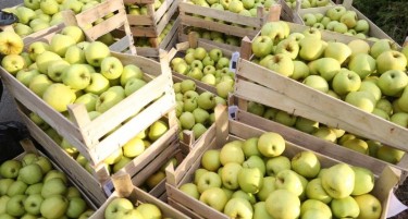 Притвор за четворица измамници со јаболка од Ресен