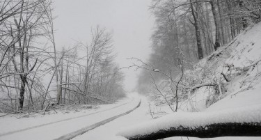 ОТСЕЧЕНИ СЕЛА ВО СРБИЈА: Поради снегот без струја се 600 домаќинства
