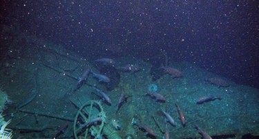 По 100 години пронајдена подморница